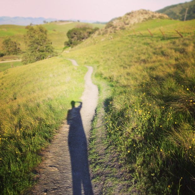 The Flowers At Your Feet